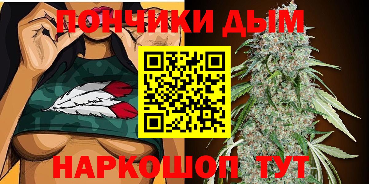 Бошки марихуана сатива Шахты